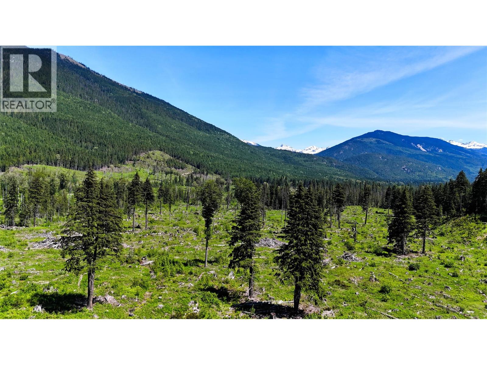 Dl 7950 Hwy 31 Highway Lot# Dl 7950, Trout Lake, British Columbia V0G 1R2 - Photo 26 - 10391784