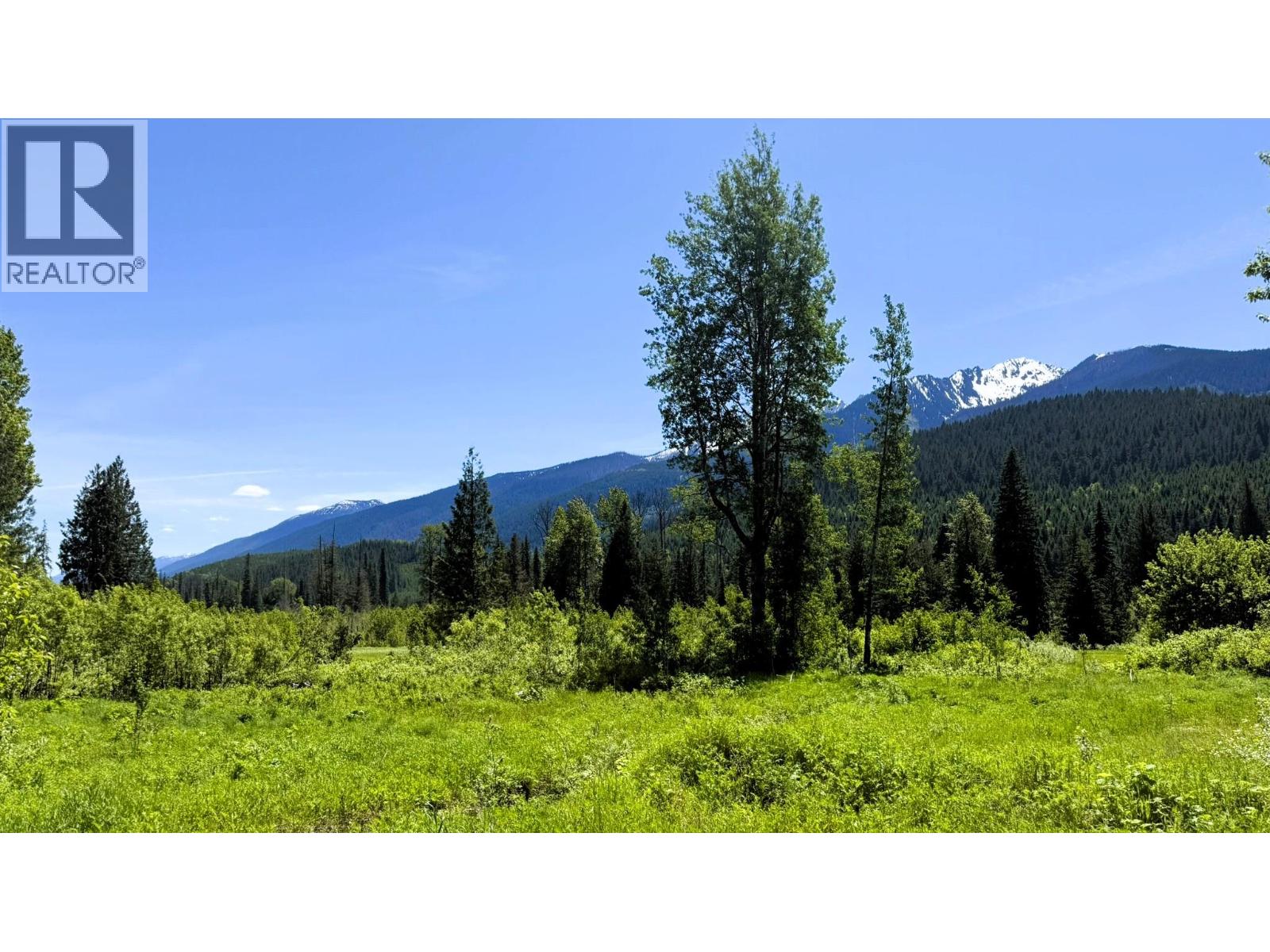 Dl 7950 Hwy 31 Highway Lot# Dl 7950, Trout Lake, British Columbia V0G 1R2 - Photo 32 - 10391784