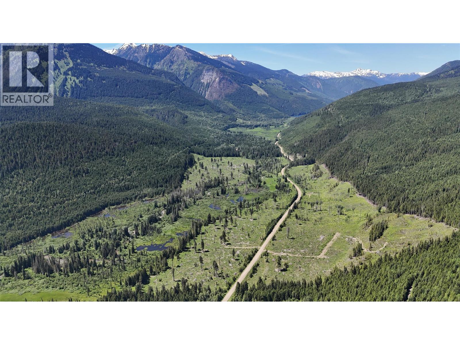 Dl 7950 Hwy 31 Highway Lot# Dl 7950, Trout Lake, British Columbia V0G 1R2 - Photo 10 - 10391784