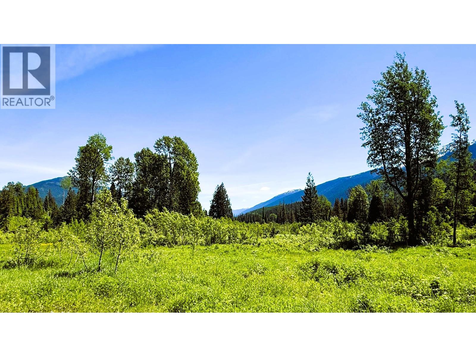 Dl 7950 Hwy 31 Highway Lot# Dl 7950, Trout Lake, British Columbia V0G 1R2 - Photo 30 - 10391784
