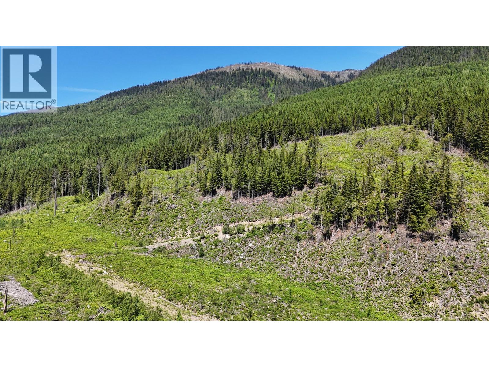Dl 7950 Hwy 31 Highway Lot# Dl 7950, Trout Lake, British Columbia V0G 1R2 - Photo 21 - 10391784