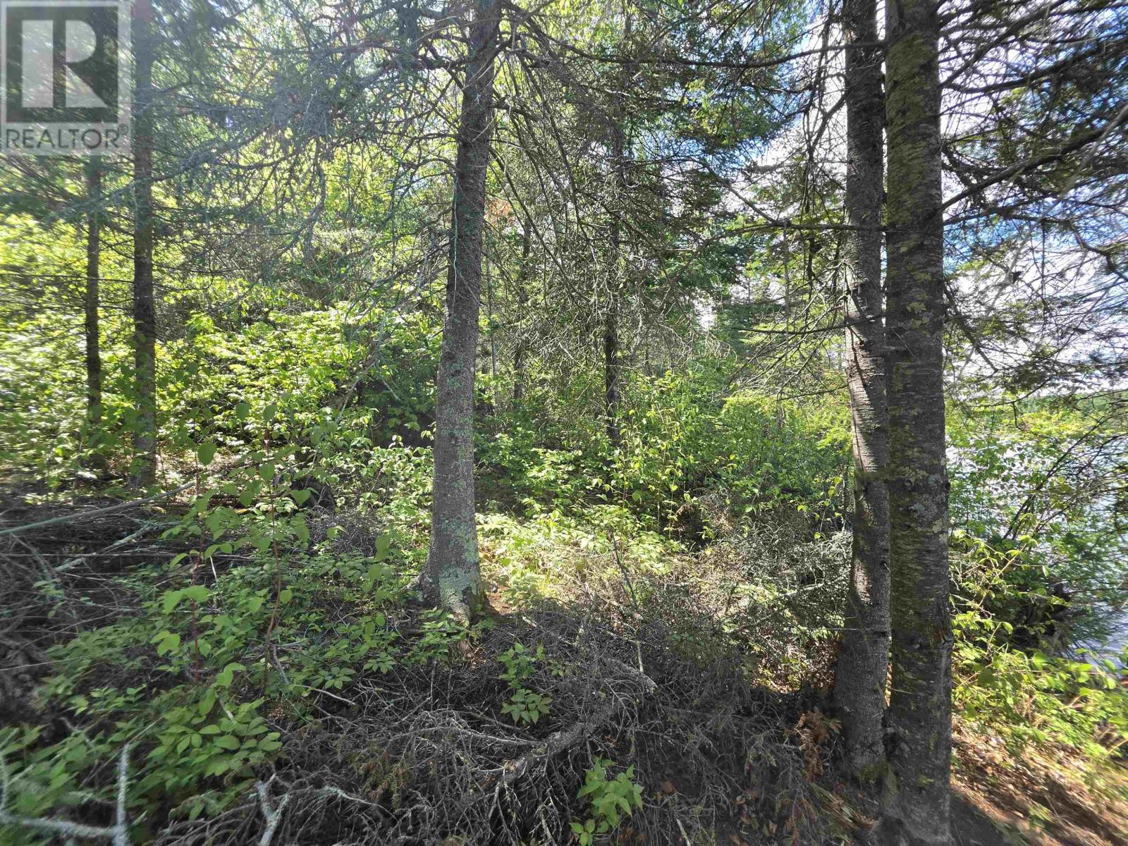 Lot 24 2467 Pipestone Peninsula, Sioux Narrows-Nestor Falls Township, Ontario  P0C 1N0 - Photo 16 - TB2601447