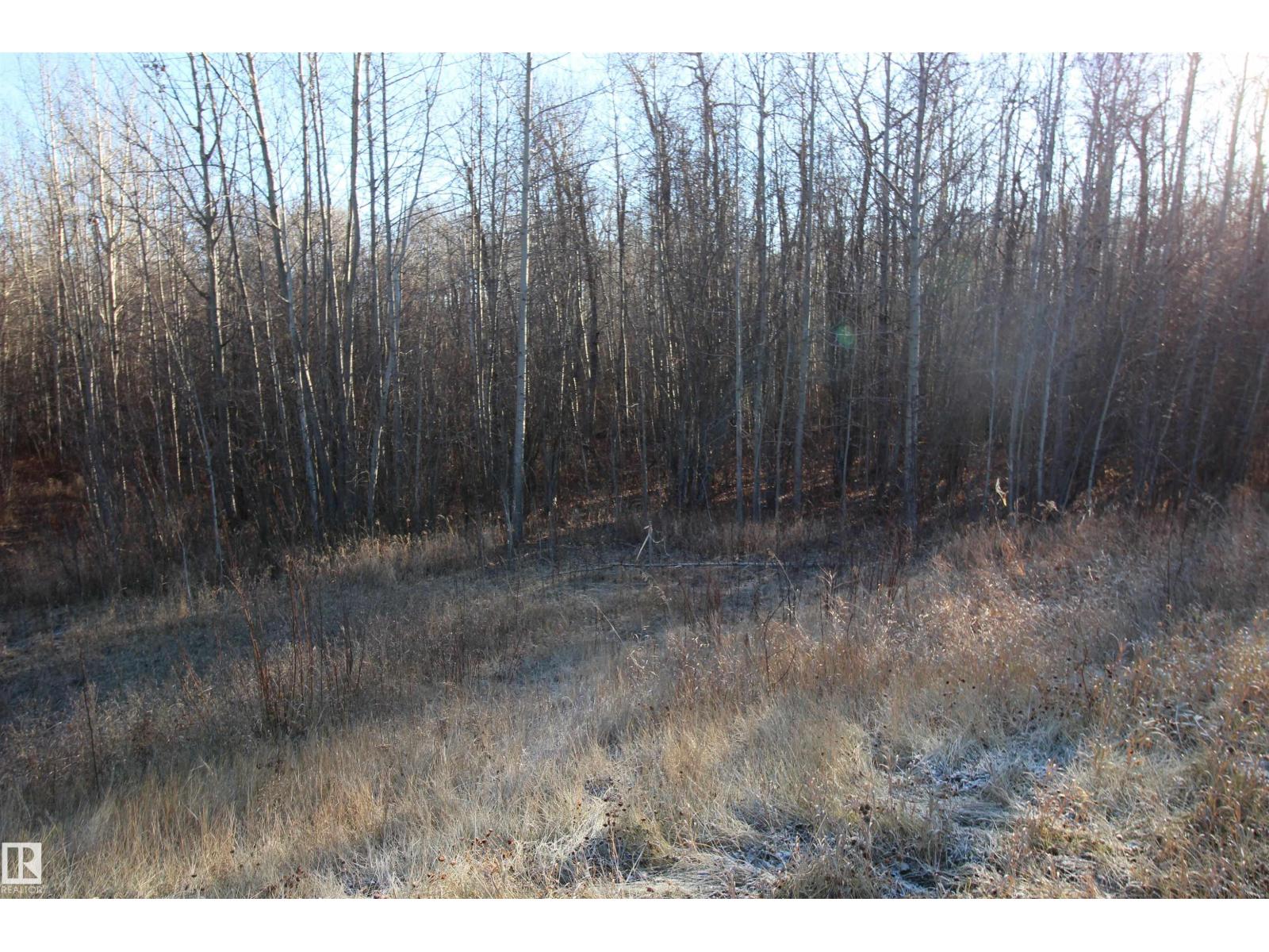 3524 Township Road 542, Rural Lac Ste. Anne County, Alberta  T0E 0A0 - Photo 12 - E4366734