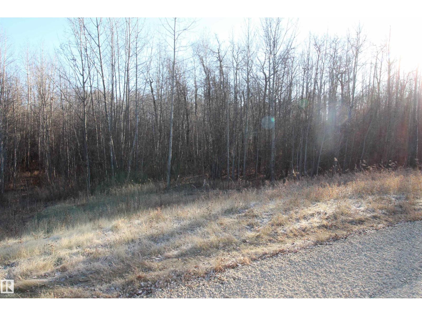 3524 Township Road 542, Rural Lac Ste. Anne County, Alberta  T0E 0A0 - Photo 11 - E4366734