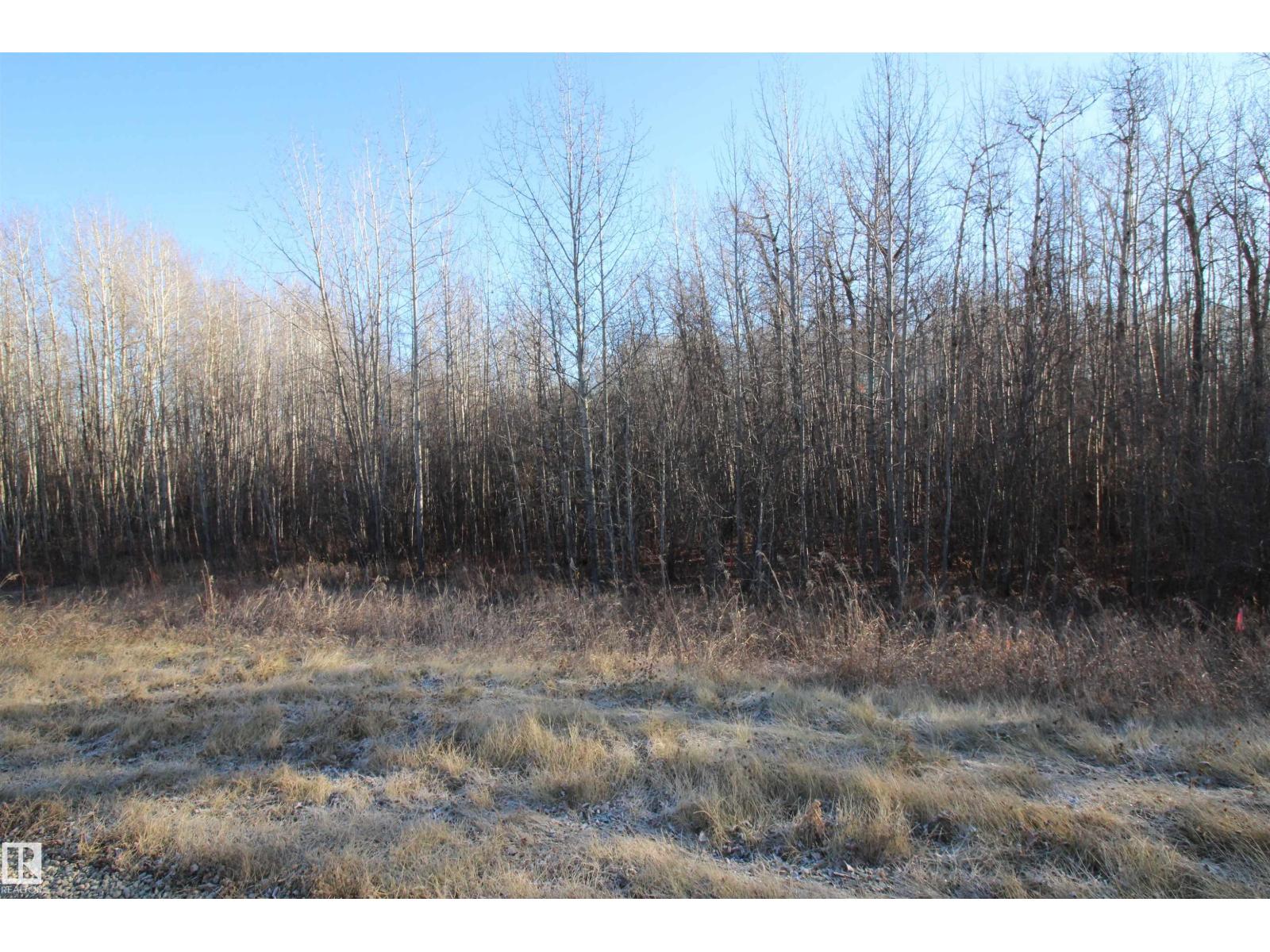 3524 Township Road 542, Rural Lac Ste. Anne County, Alberta  T0E 0A0 - Photo 13 - E4366734