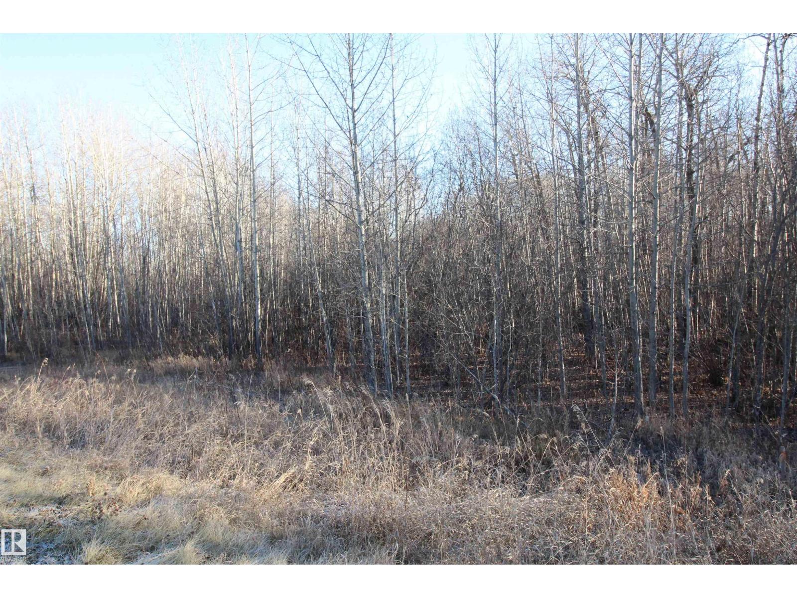 3524 Township Road 542, Rural Lac Ste. Anne County, Alberta  T0E 0A0 - Photo 14 - E4366734