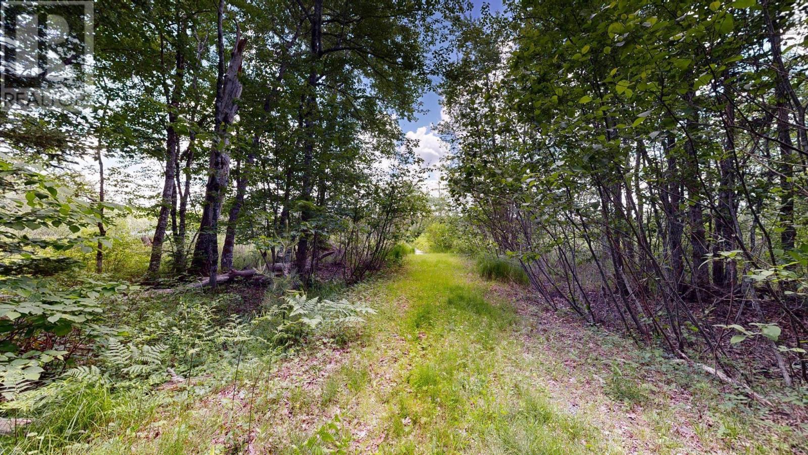 106 Red Hill Road, New Elm, Nova Scotia  B0T 1X0 - Photo 30 - 202615227