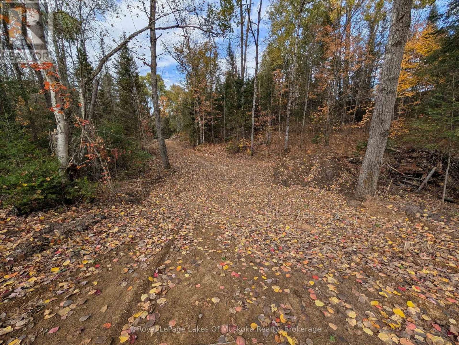 0 Forest Lake Road, Joly, Ontario  P0A 1X0 - Photo 3 - X12738772