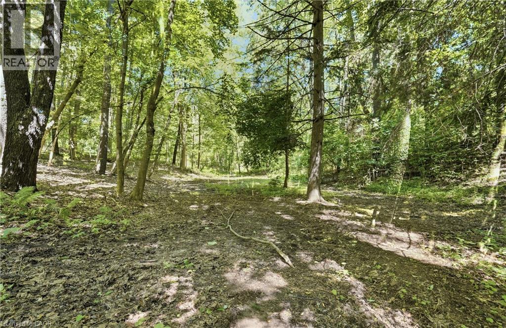 461 Tice Road, Ridgeville, Ontario  L0S 1M0 - Photo 40 - 40833285