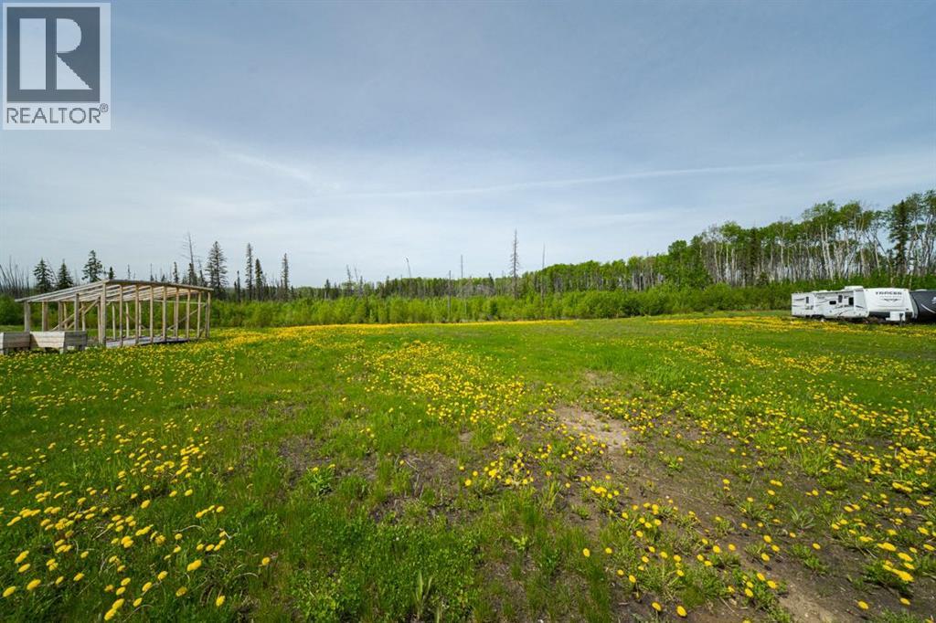 142 Hopegood Drive, Anzac, Alberta  T0P 1J0 - Photo 47 - A2300139