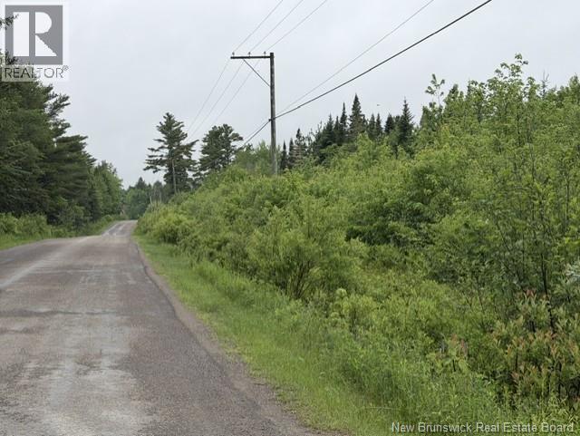 Lot 1 W P Black Lane, New Canaan, New Brunswick  E4Z 5X5 - Photo 4 - NB142330