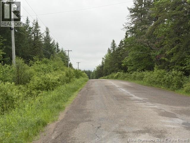 Lot 1 W P Black Lane, New Canaan, New Brunswick  E4Z 5X5 - Photo 3 - NB142330