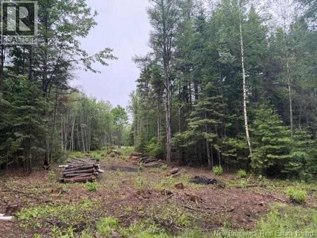 Lot 1 W P Black Lane, New Canaan, New Brunswick  E4Z 5X5 - Photo 2 - NB142330
