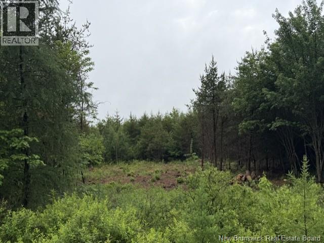 Lot 1 W P Black Lane, New Canaan, New Brunswick  E4Z 5X5 - Photo 6 - NB142330