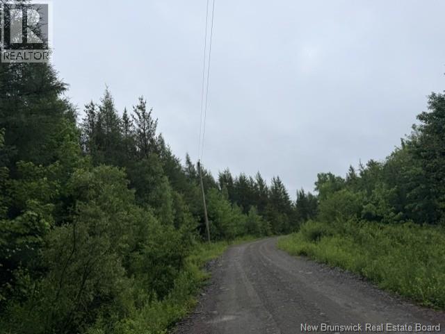 Lot 1 W P Black Lane, New Canaan, New Brunswick  E4Z 5X5 - Photo 8 - NB142330