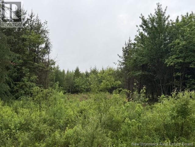 Lot 1 W P Black Lane, New Canaan, New Brunswick  E4Z 5X5 - Photo 7 - NB142330