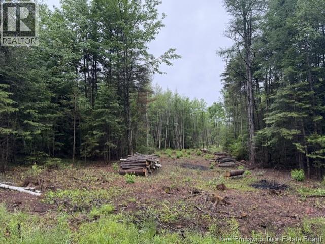 Lot 1 W P Black Lane, New Canaan, New Brunswick  E4Z 5X5 - Photo 10 - NB142330