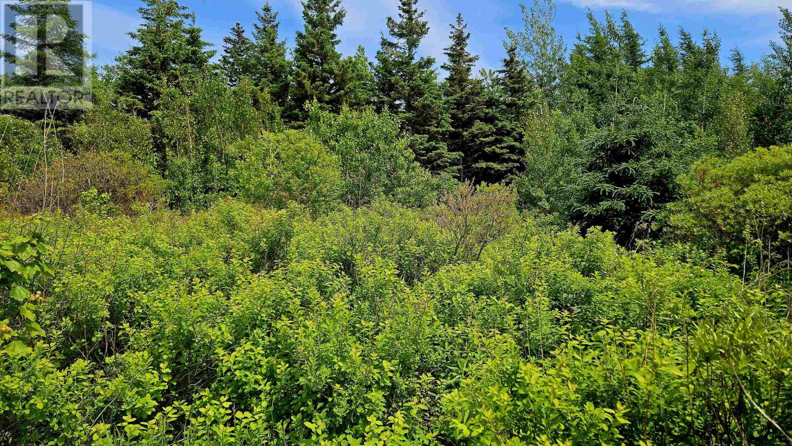 Country Lane, Victoria West, Prince Edward Island  C0B 2C0 - Photo 6 - 202615271