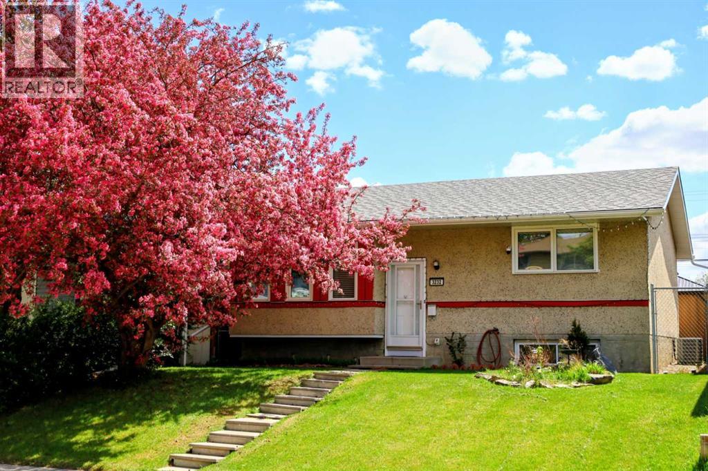 picture 0