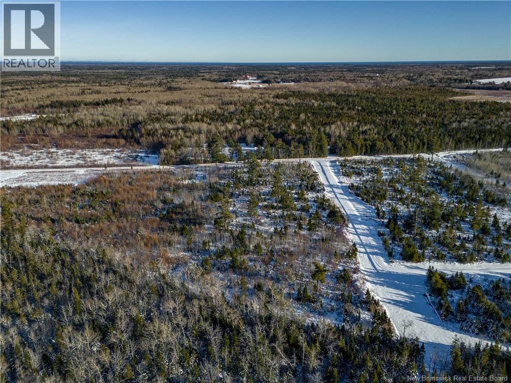 Lot 25-1 Hannay Road, Galloway, New Brunswick  E4W 2M4 - Photo 11 - NB131680