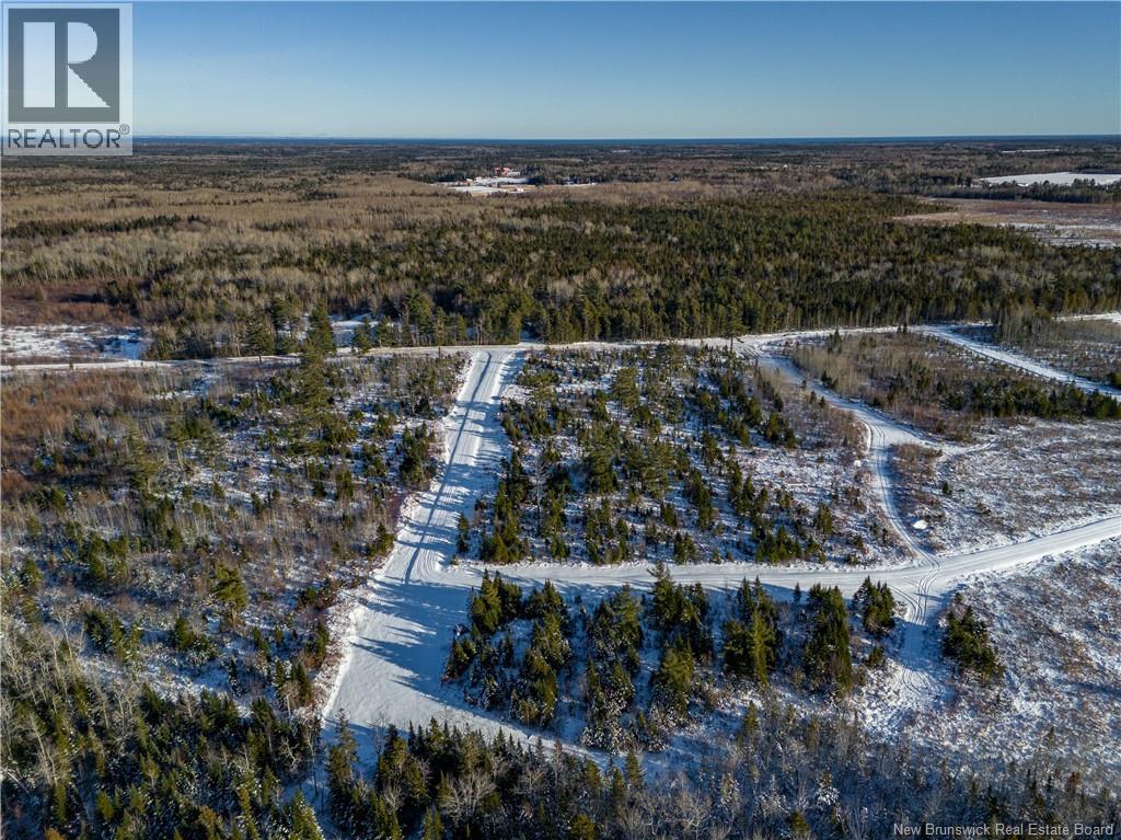 Lot 25-1 Hannay Road, Galloway, New Brunswick  E4W 2M4 - Photo 13 - NB131680
