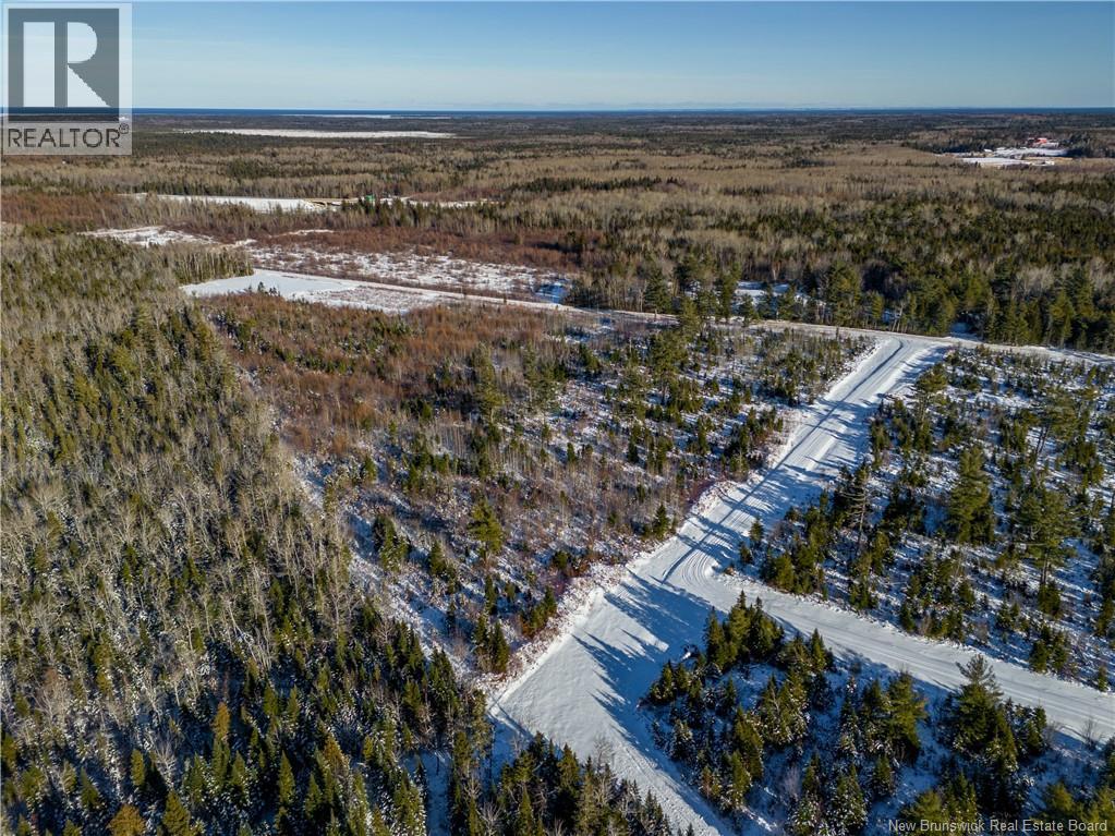 Lot 25-1 Hannay Road, Galloway, New Brunswick  E4W 2M4 - Photo 6 - NB131680