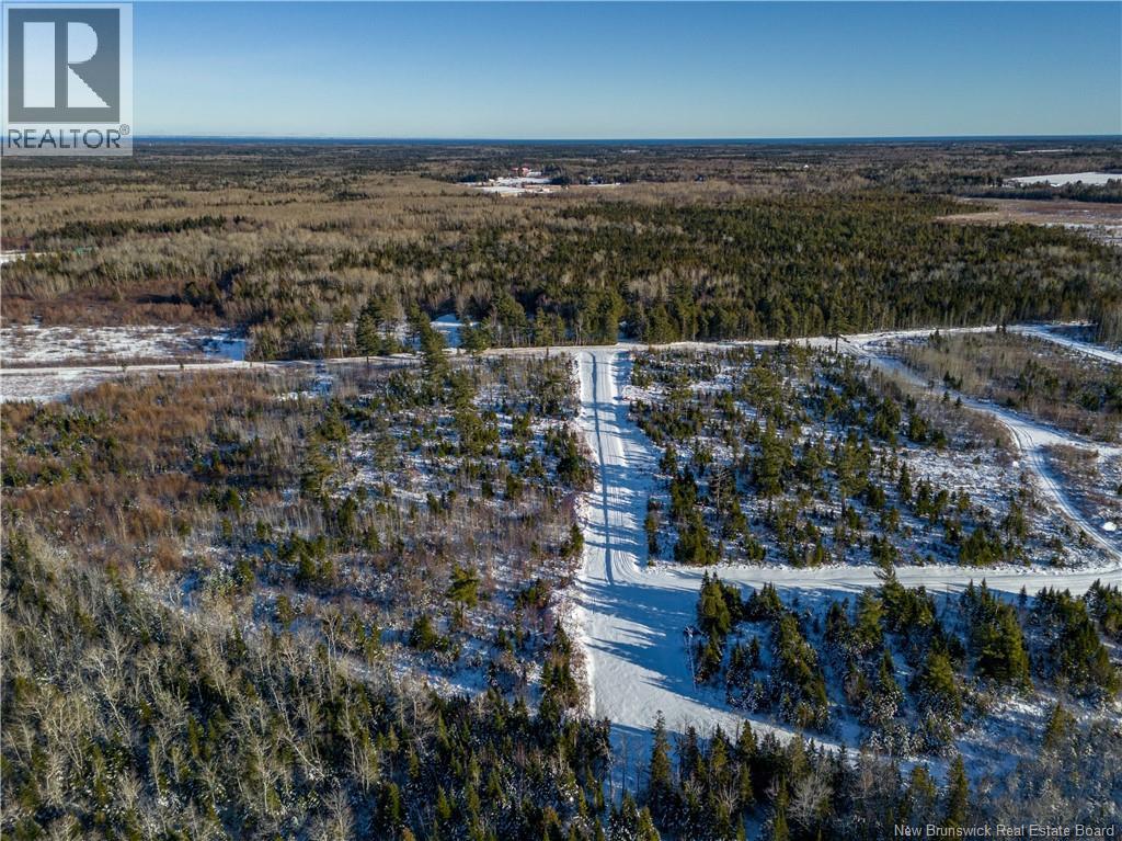 Lot 25-4 Hannay Road, Galloway, New Brunswick  E4W 2M4 - Photo 4 - NB131708