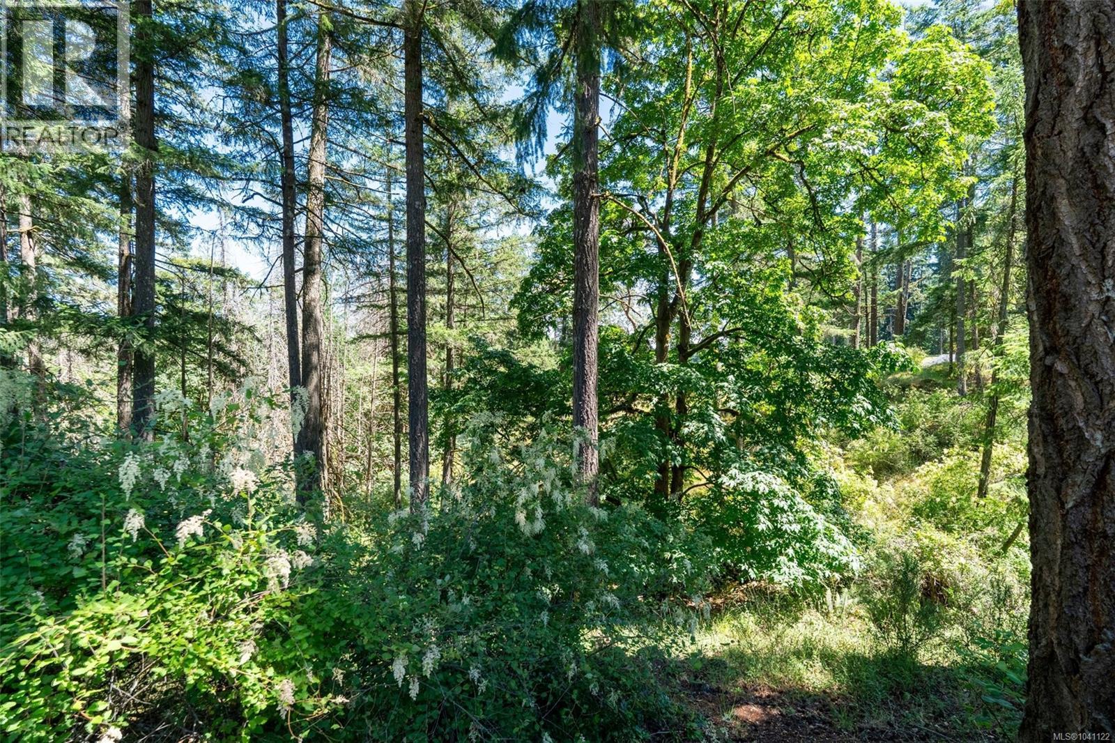 1062 River Rd, Highlands, British Columbia  V9B 6K2 - Photo 72 - 1041122