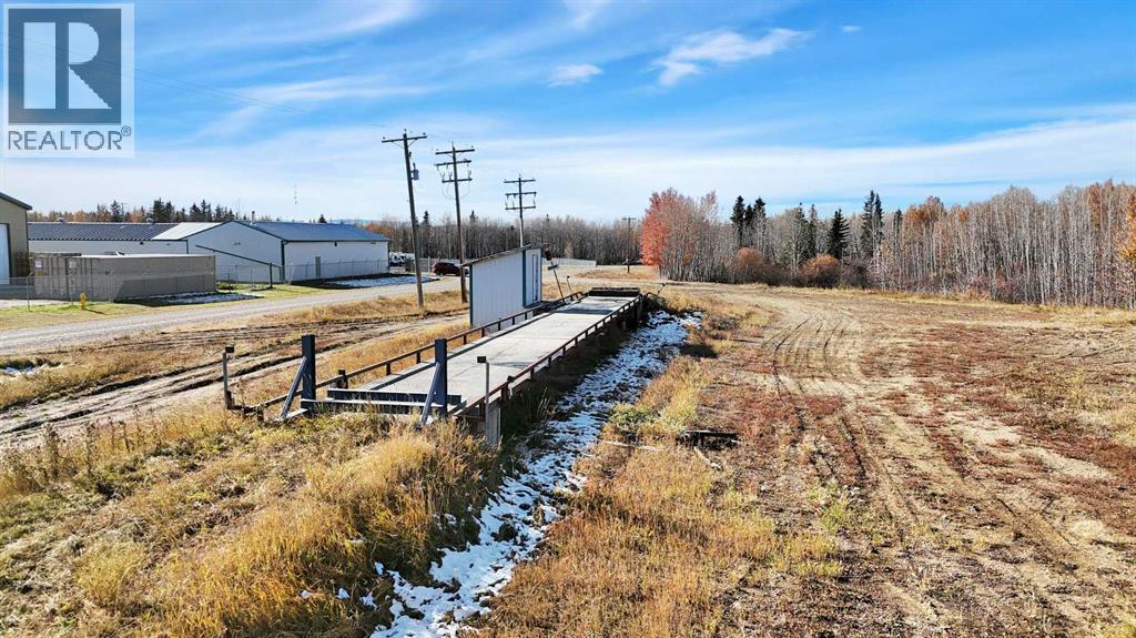 4414 42b Avenue, Rocky Mountain House, Alberta  T4T 1A1 - Photo 14 - A2263474