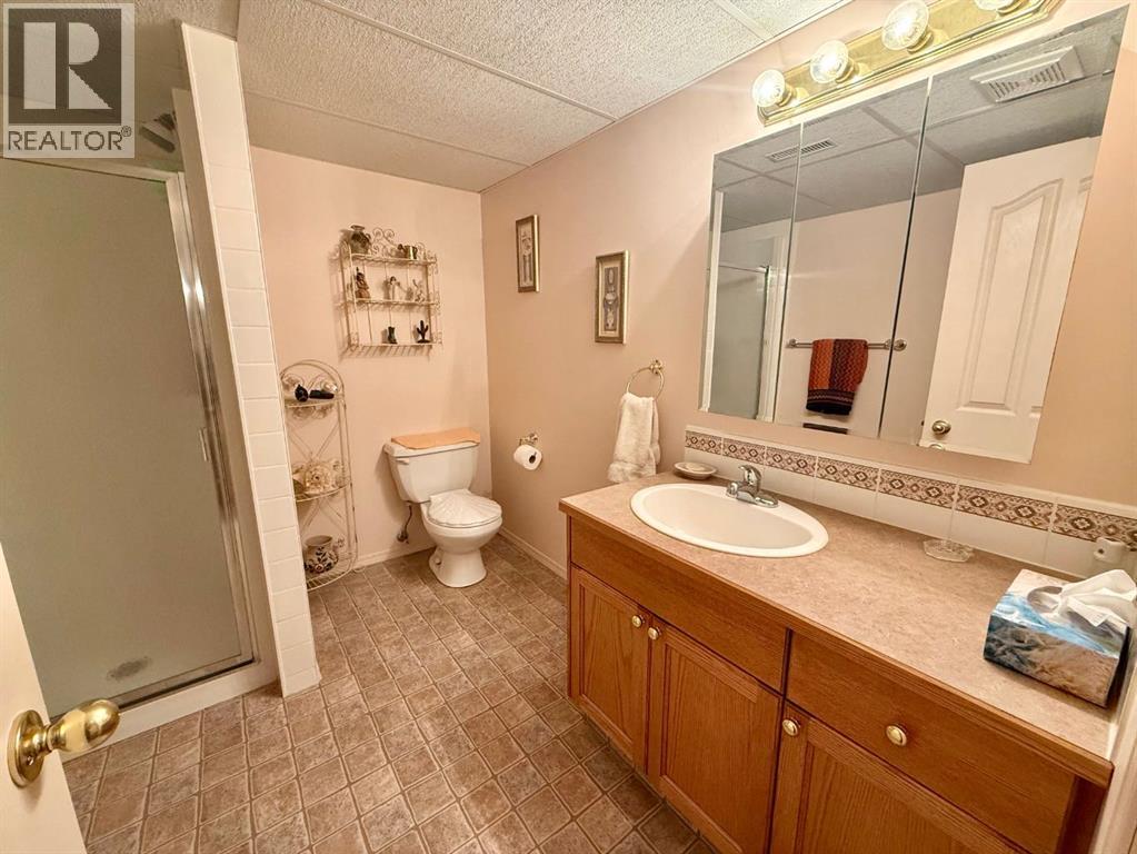 408 Freeman Way NW, High River, Alberta  T1V 1R2 - Photo 26 - A2321739