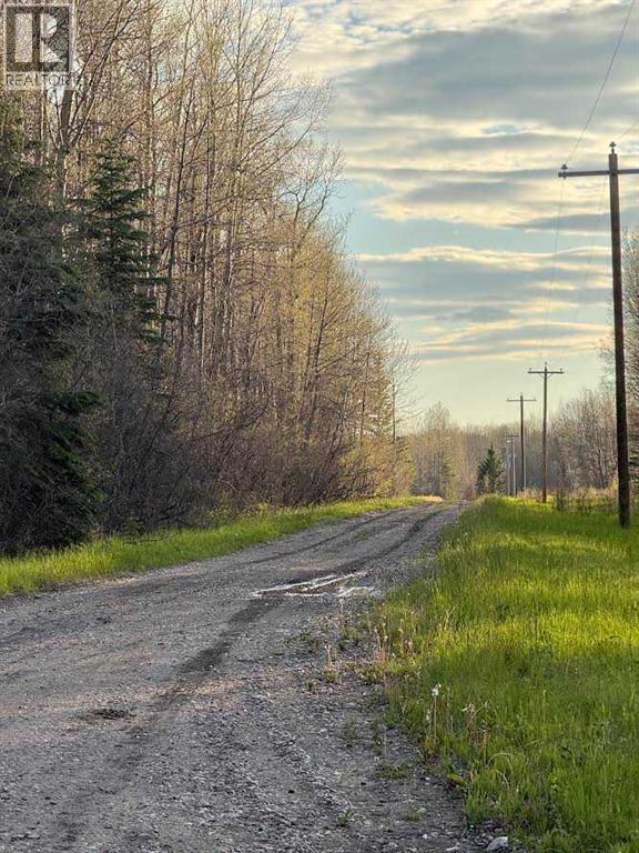 616 Hwy, Rural Brazeau County, Alberta T7A 1R9 - Photo 11 - A2322949