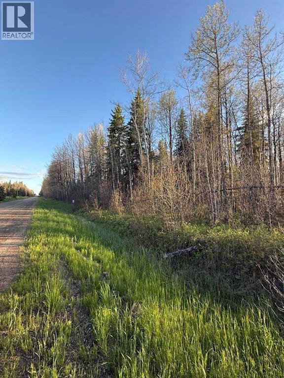 616 Hwy, Rural Brazeau County, Alberta T7A 1R9 - Photo 7 - A2322949