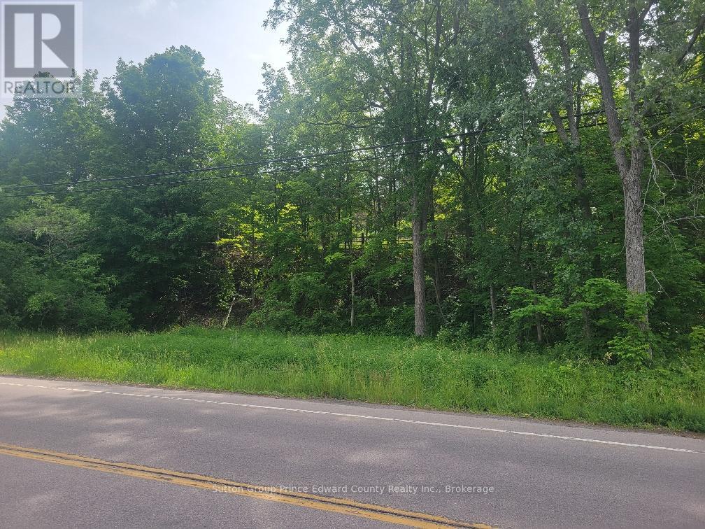 12577 Loyalist Parkway NE, Prince Edward County, Ontario  K0K 2T0 - Photo 14 - X13440106