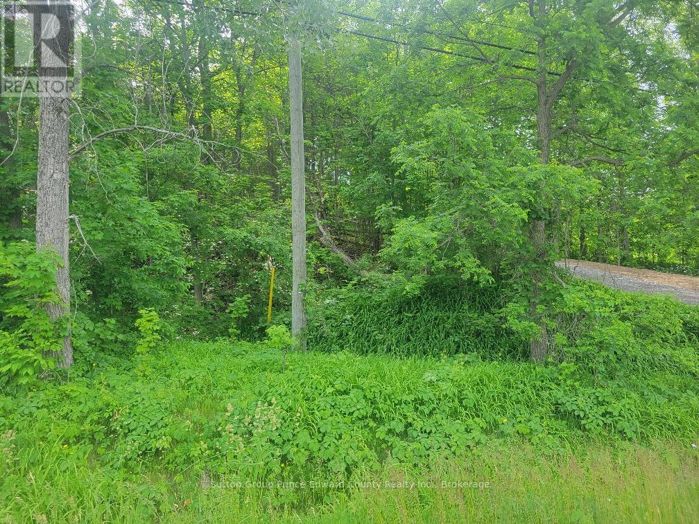 12577 Loyalist Parkway NE, Prince Edward County, Ontario  K0K 2T0 - Photo 15 - X13440106