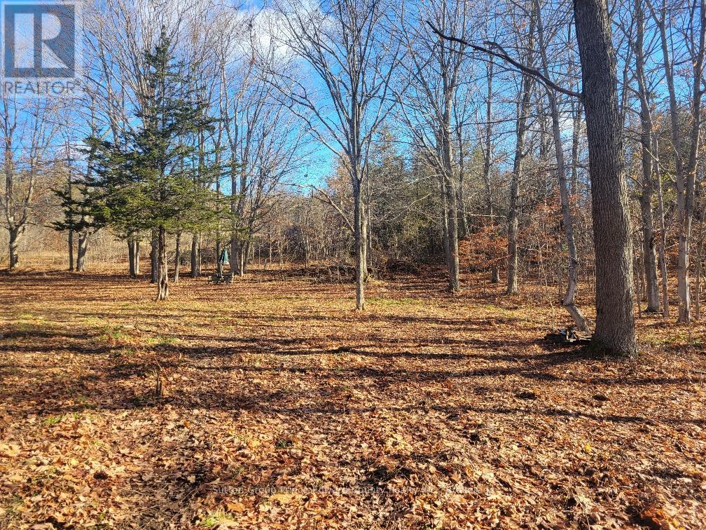 12577 Loyalist Parkway NE, Prince Edward County, Ontario  K0K 2T0 - Photo 9 - X13440106