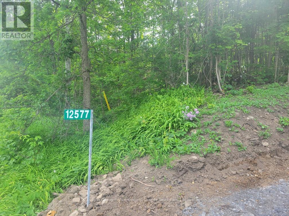 12577 Loyalist Parkway NE, Prince Edward County, Ontario  K0K 2T0 - Photo 2 - X13440106