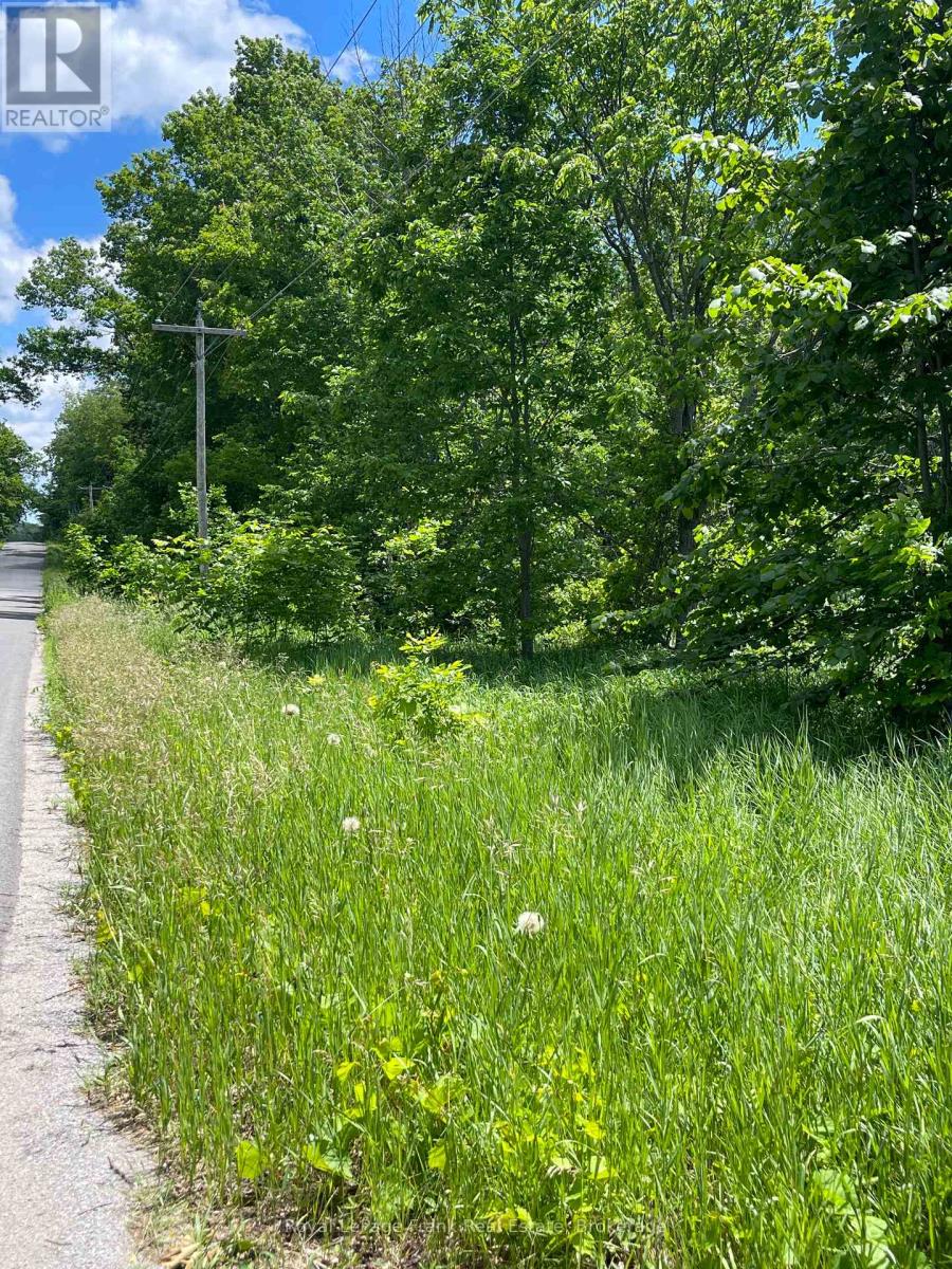 0 Balsam Lake Drive, Kawartha Lakes, Ontario  K0M 2B0 - Photo 20 - X13469182
