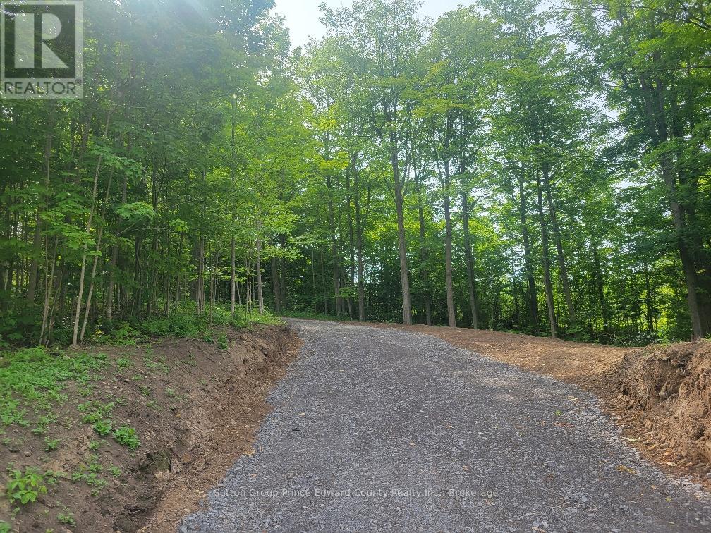 12577 LOYALIST PARKWAY NE, Prince Edward County, Ontario