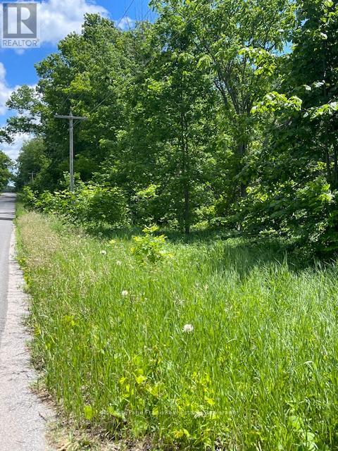 0 Balsam Lake Drive, Kawartha Lakes, Ontario  K0M 2B0 - Photo 15 - X13469182
