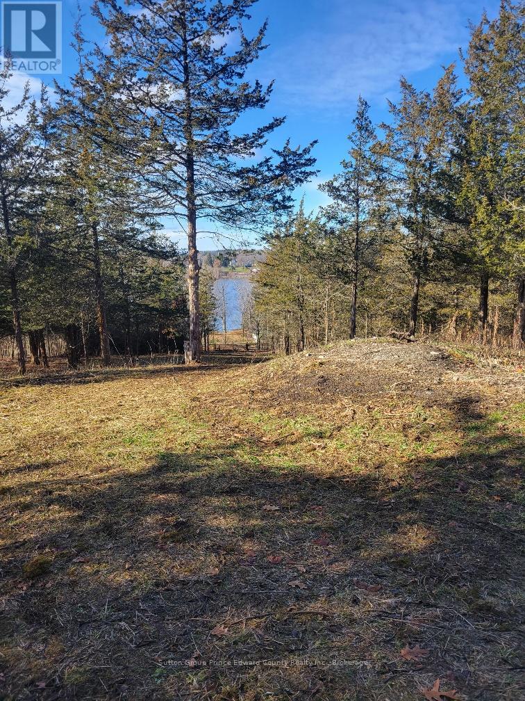 12577 Loyalist Parkway NE, Prince Edward County, Ontario  K0K 2T0 - Photo 10 - X13440106