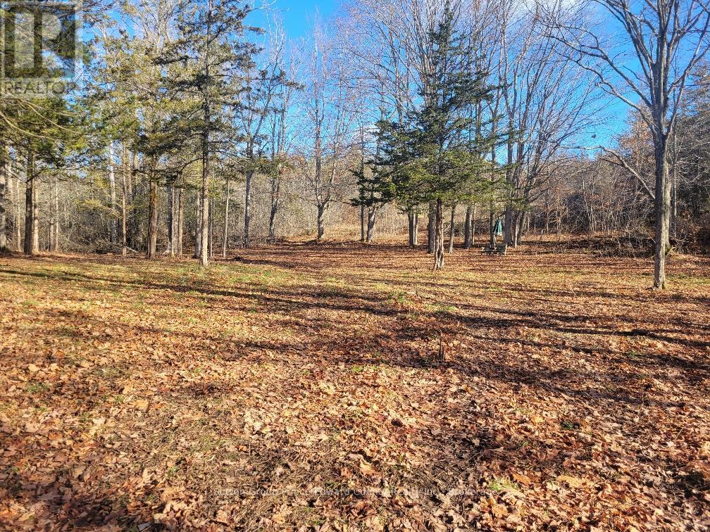 12577 Loyalist Parkway NE, Prince Edward County, Ontario  K0K 2T0 - Photo 12 - X13440106
