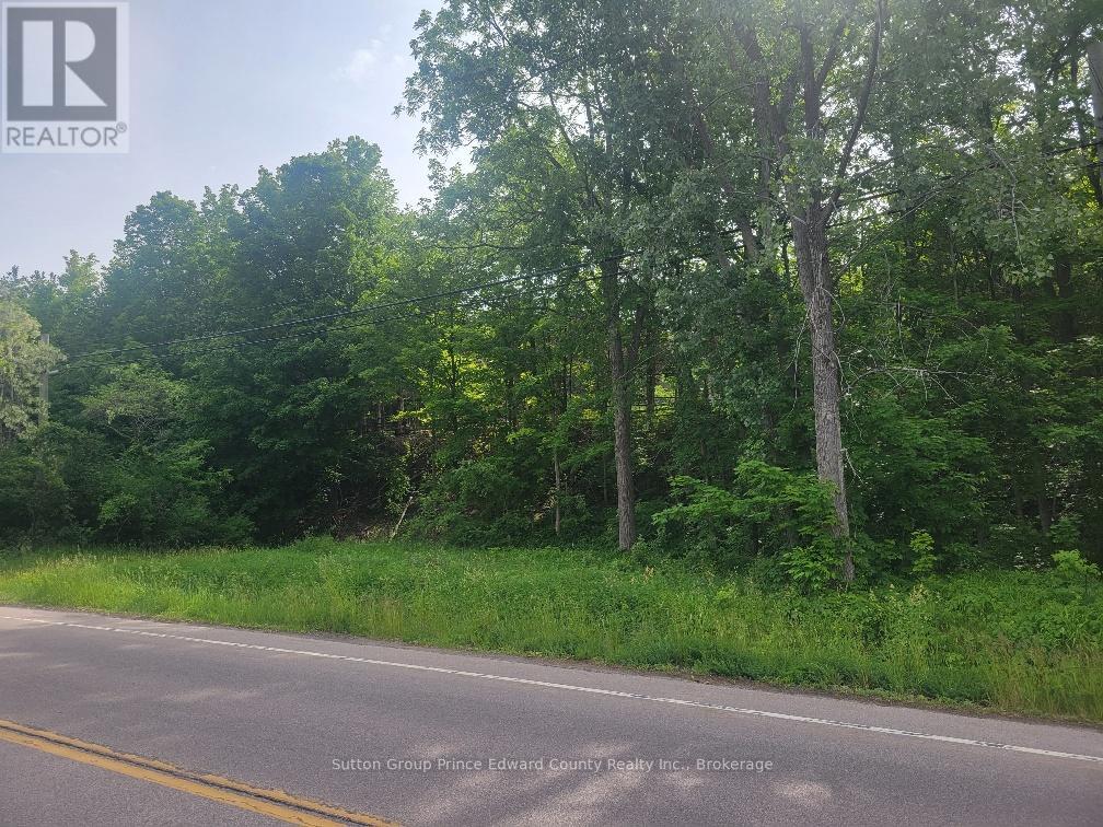 12577 Loyalist Parkway NE, Prince Edward County, Ontario  K0K 2T0 - Photo 13 - X13440106