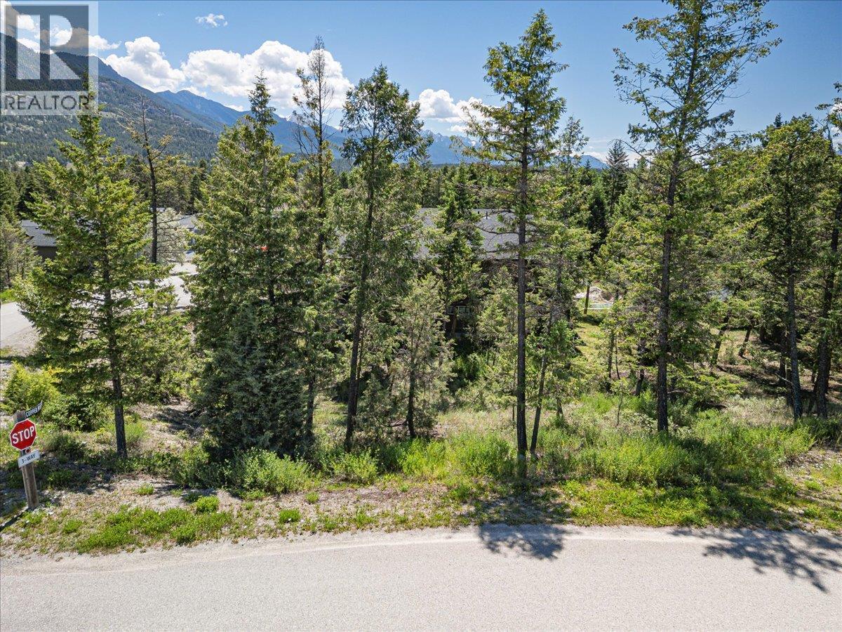 Copper Point Way Lot# 59, Windermere, British Columbia  V0A 1K3 - Photo 5 - 10391750