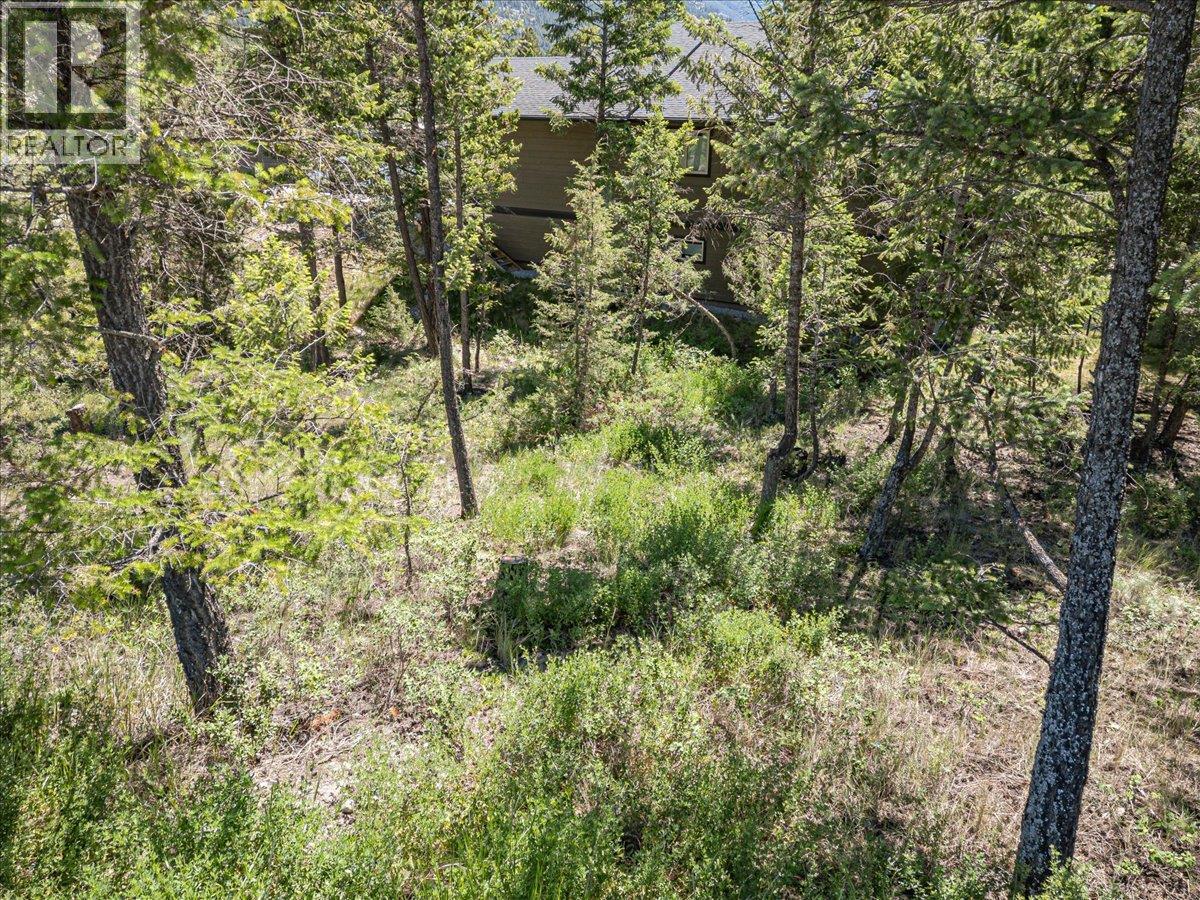 Copper Point Way Lot# 59, Windermere, British Columbia  V0A 1K3 - Photo 13 - 10391750