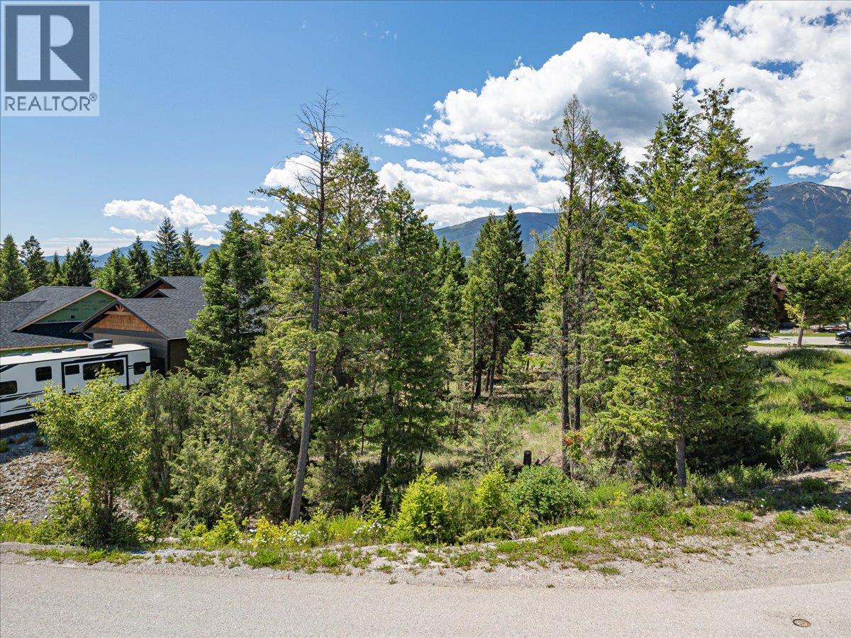 Copper Point Way Lot# 59, Windermere, British Columbia  V0A 1K3 - Photo 4 - 10391750