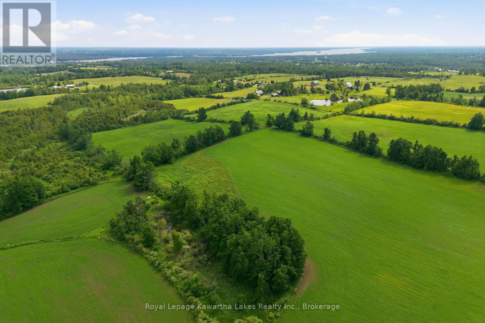 136 Oliver's Road, Kawartha Lakes, Ontario  K0M 1A0 - Photo 48 - X13473184