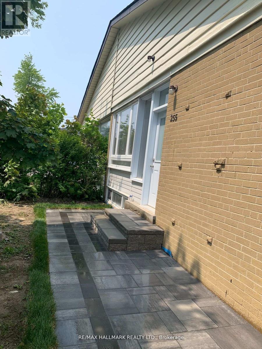 BSMT - 255 ASHLAR ROAD, Richmond Hill, Ontario