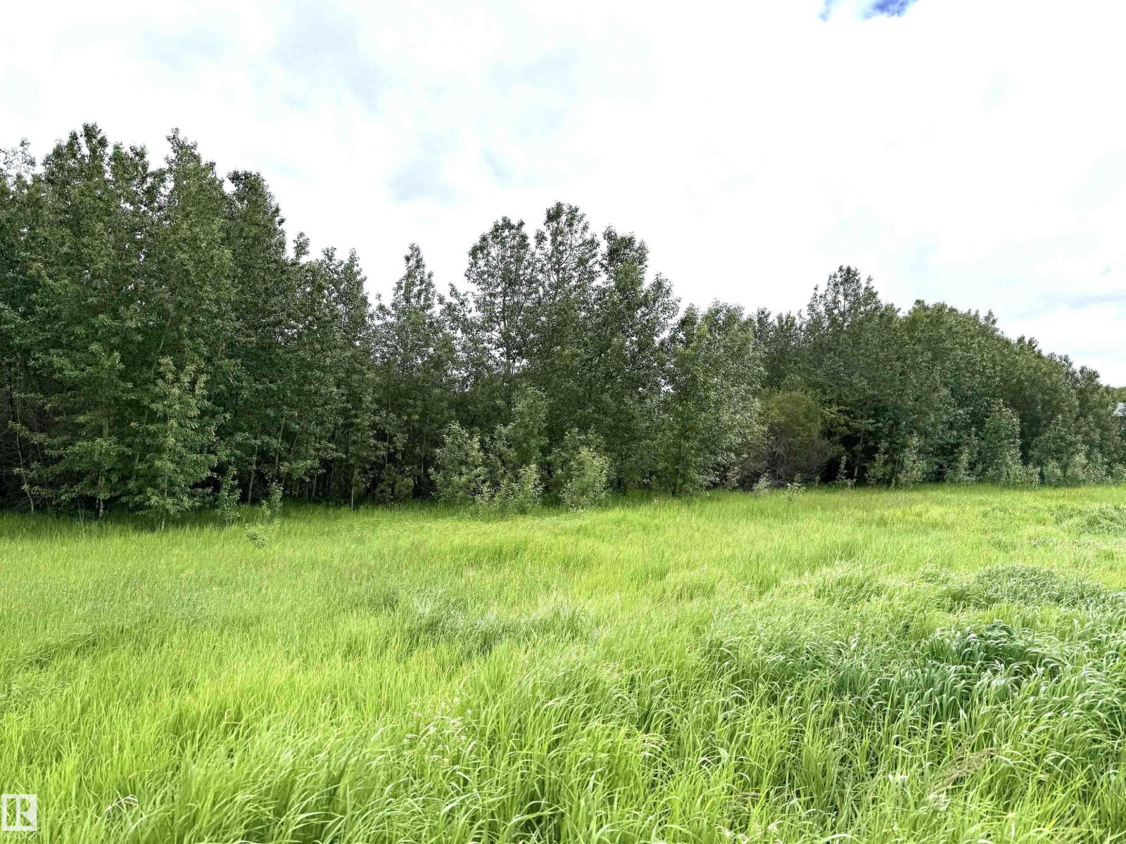 20126l Twp Rd 502, Rural Beaver County, Alberta  T0B 4J2 - Photo 4 - E4495098