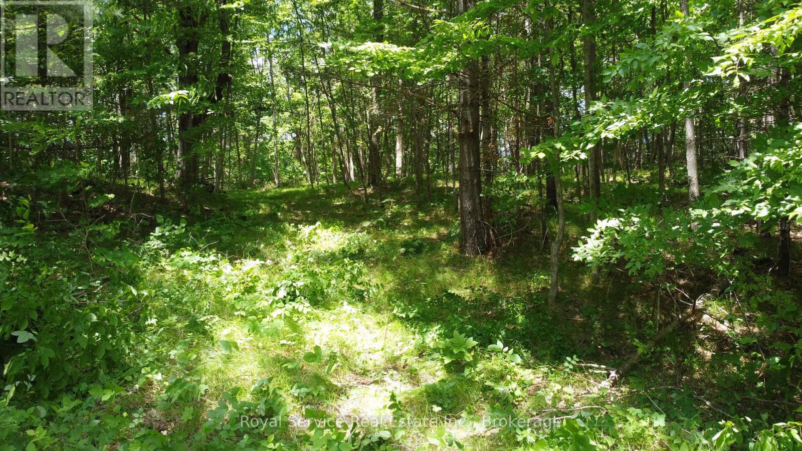 1794 Springbrook Road, Stirling-Rawdon, Ontario  K0K 3C0 - Photo 2 - X13473990
