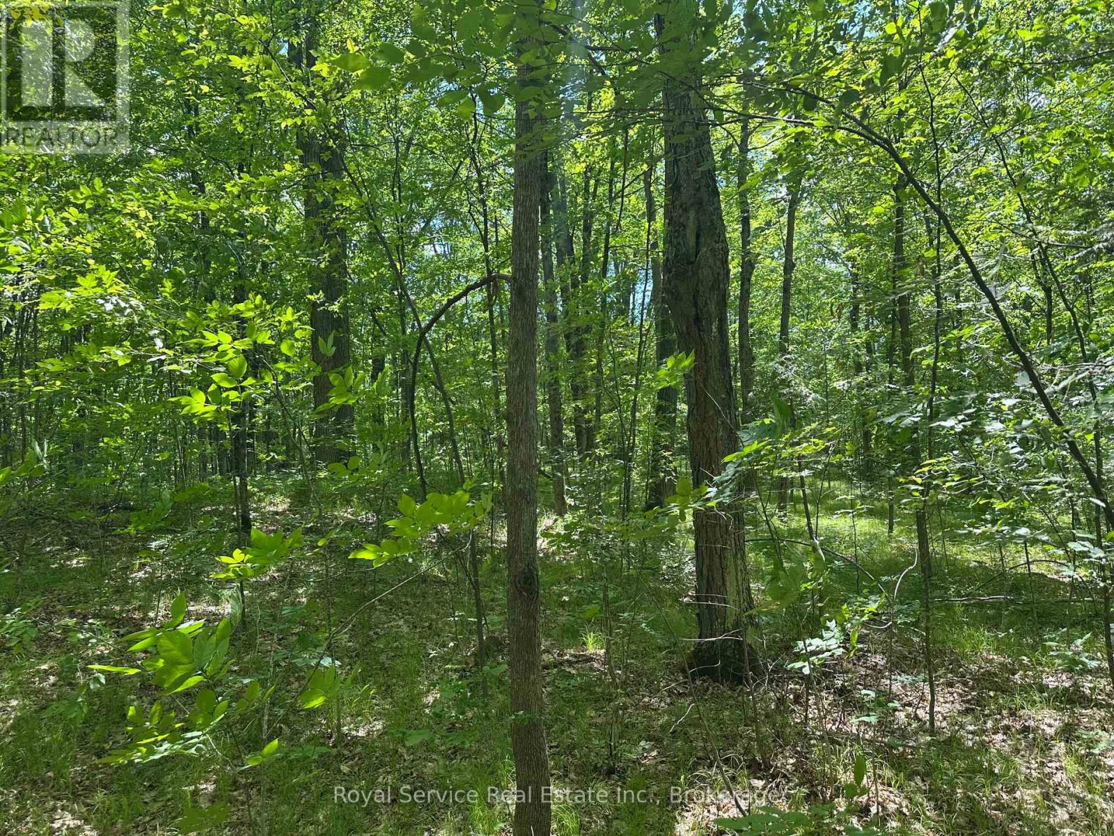 1794 Springbrook Road, Stirling-Rawdon, Ontario  K0K 3C0 - Photo 29 - X13473990